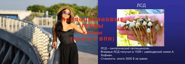 ГАЛЛЮЦИНОГЕННЫЕ ГРИБЫ Арсеньев