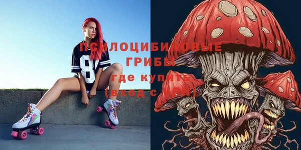 дурь Аркадак