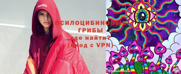 дурь Аркадак