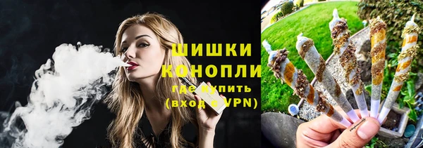 ГАЛЛЮЦИНОГЕННЫЕ ГРИБЫ Арсеньев