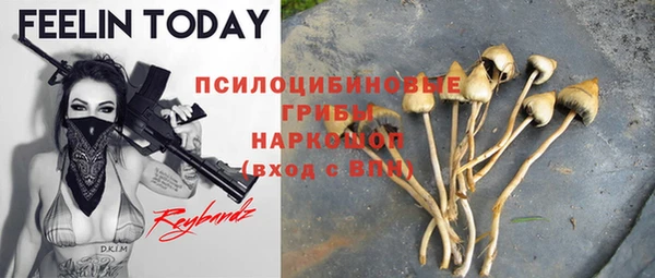 ГАЛЛЮЦИНОГЕННЫЕ ГРИБЫ Арсеньев