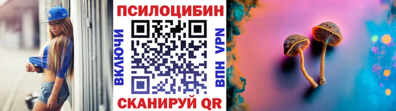 наркотики Голицыно kraken ССЫЛКА Галлюциногенные грибы Psilocybe